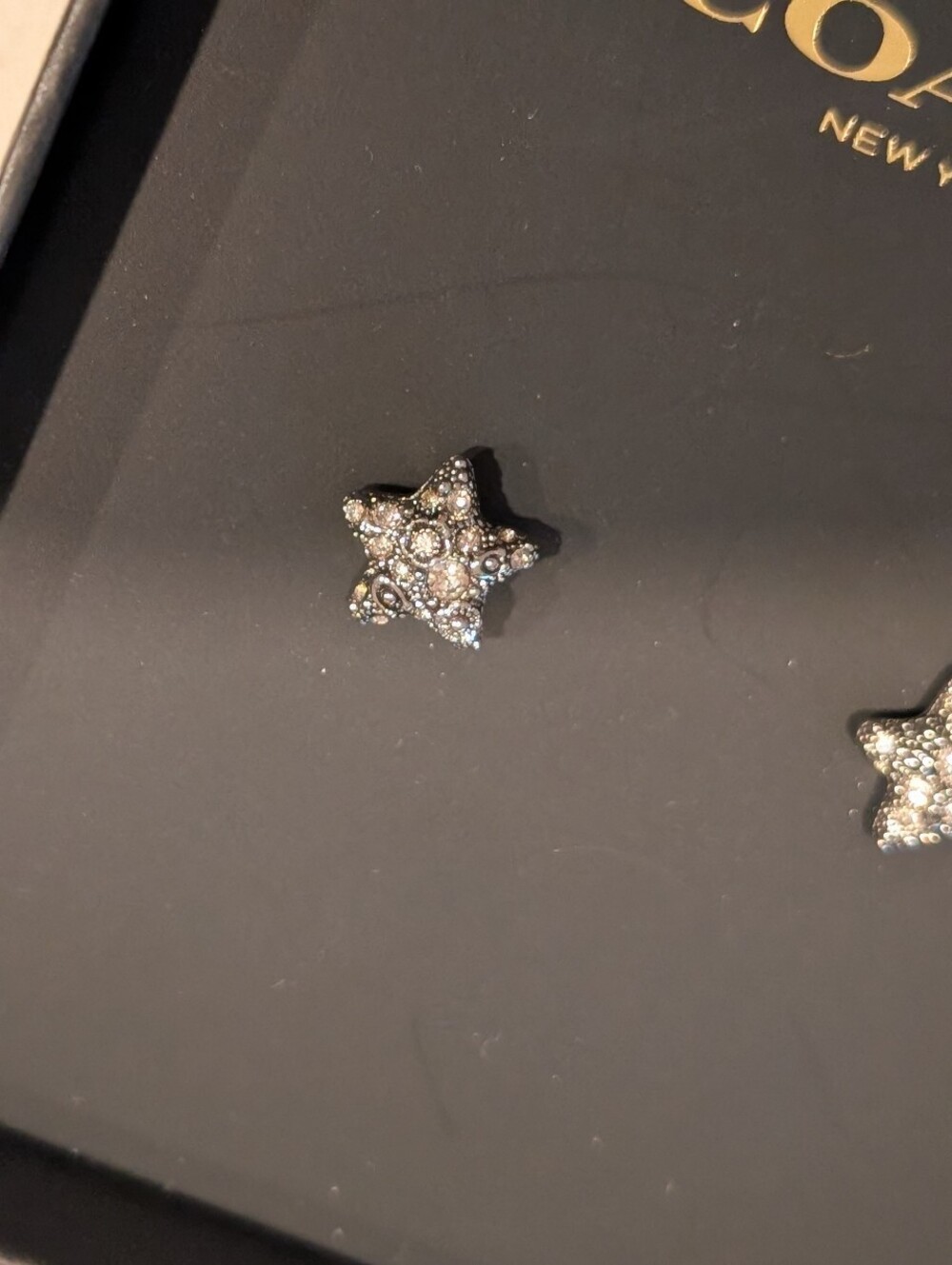 Coach Star Tea Rose Earrings - NWT - Brass/Titanium/Crystal - Picture 6 of 6